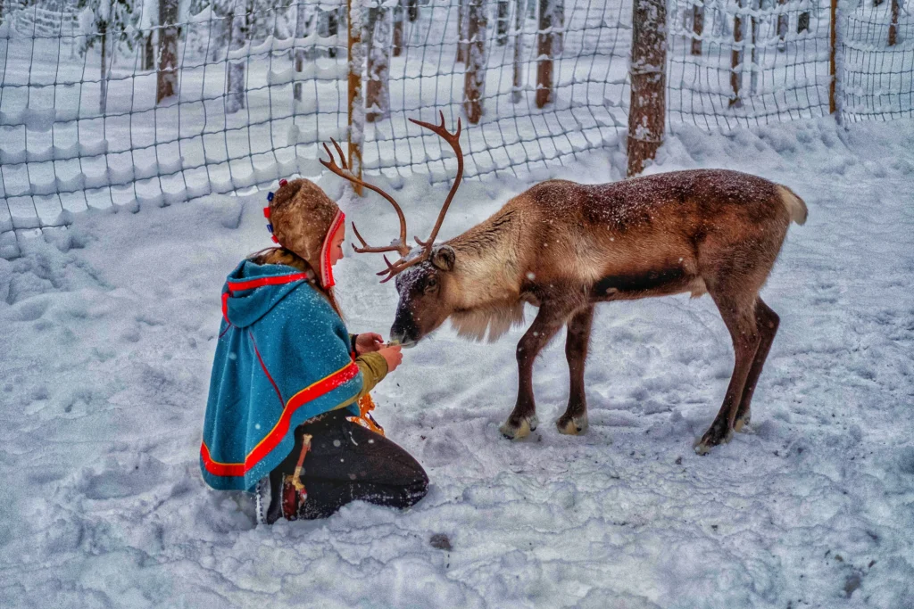 the Sami culture
